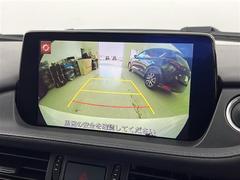 ڥХå˥۸Υα˥˱ǤФΤǡθʤѤ䡢㳲ʪȤεΥʤɤ⤷äǧ뤳ȤǤޤ 4