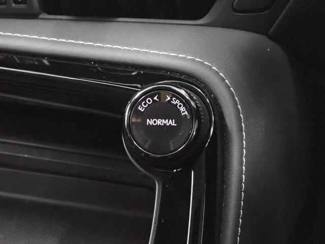 NX NX250 ムーンルーフ・純正9.8インチナビ・フルセグTV・黒革シート・バックカメラ・アダプティブクルーズコントロール・レーンキープアシスト・パワーテールゲート・衝突軽減ブレーキ・ブラインドスポットモニター(34枚目)