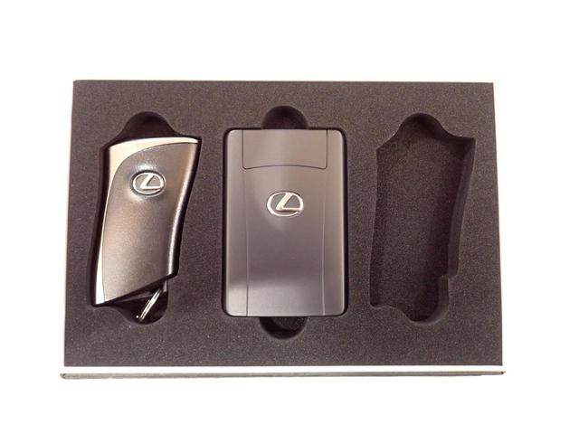 NX NX250 ムーンルーフ・純正9.8インチナビ・フルセグTV・黒革シート・バックカメラ・アダプティブクルーズコントロール・レーンキープアシスト・パワーテールゲート・衝突軽減ブレーキ・ブラインドスポットモニター(53枚目)