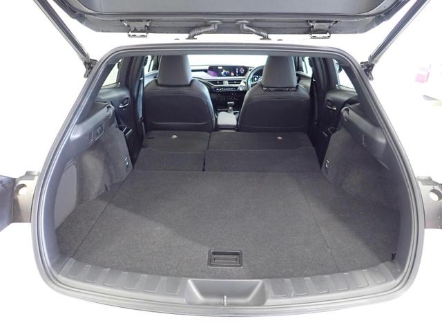 ＵＸ ＵＸ２５０ｈ　アーバンエレガンス　純正１０．３インチナビ・フルセグＴＶ・全方位カメラ・サンルーフ・レクサスセーフティシステム・アクティブクルーズコントロール・障害物センサー・電動シート・シートヒーター・パワーゲート・純正ＡＷ・ＥＴＣ（34枚目）