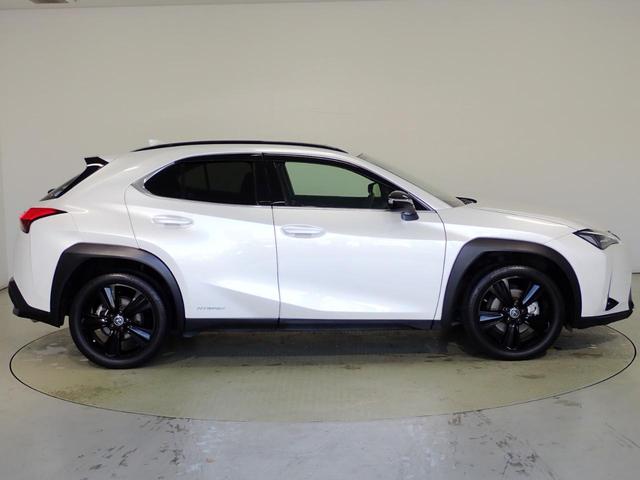 ＵＸ ＵＸ２５０ｈ　アーバンエレガンス　純正１０．３インチナビ・フルセグＴＶ・全方位カメラ・サンルーフ・レクサスセーフティシステム・アクティブクルーズコントロール・障害物センサー・電動シート・シートヒーター・パワーゲート・純正ＡＷ・ＥＴＣ（38枚目）