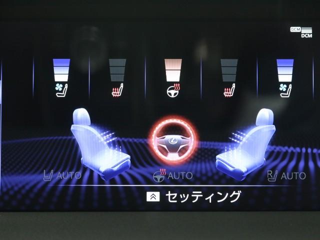 ＬＣ ＬＣ５００　コンバーチブル　スマートキー　パワーシート　ＡＷ　ＬＥＤヘッドライト　ＥＴＣ　革シート　レーダークルーズ　禁煙車　Ｂカメラ　メモリーナビ　横滑り防止装置　記録簿（16枚目）