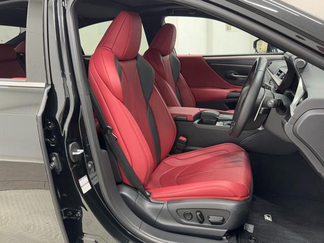 ES ES300h Fスポーツ レーダークルコン パワーシート ETC ナビ&TV スマートキー 地デジ LEDヘッドライト DVD再生 ミュージックプレイヤー接続可 盗難防止装置 キーレスエントリー メモリーナビ アルミホイール(18枚目)