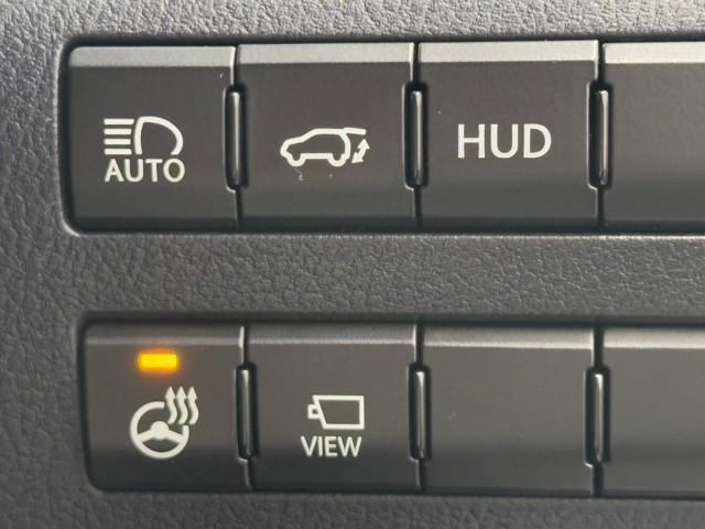 ＲＸ ＲＸ４５０ｈ　Ｆスポーツ　メモリ－ナビ　追従式クルコン　パノラマガラスルーフ　オートエアコン　ＴＶナビ　バックモニター　ＡＢＳ　盗難防止装置　パワステ　ＥＴＣ車載器　エアバッグ　ＤＶＤ再生　革　地デジ　横滑り防止　キーレスゴー（14枚目）