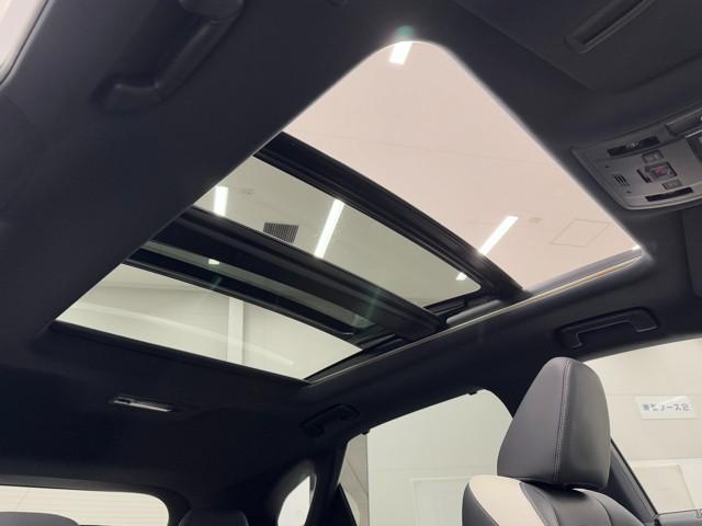 ＲＸ ＲＸ４５０ｈ　Ｆスポーツ　メモリ－ナビ　追従式クルコン　パノラマガラスルーフ　オートエアコン　ＴＶナビ　バックモニター　ＡＢＳ　盗難防止装置　パワステ　ＥＴＣ車載器　エアバッグ　ＤＶＤ再生　革　地デジ　横滑り防止　キーレスゴー（16枚目）