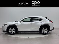 գ գأ衡Сáƥ֥롼ȥ롡ɻ֡ϥǥ 0509044A20250605Y006 5