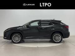 ң ңأС̡ʥӡХå˥ܳ 0509044A20251206Y002 5