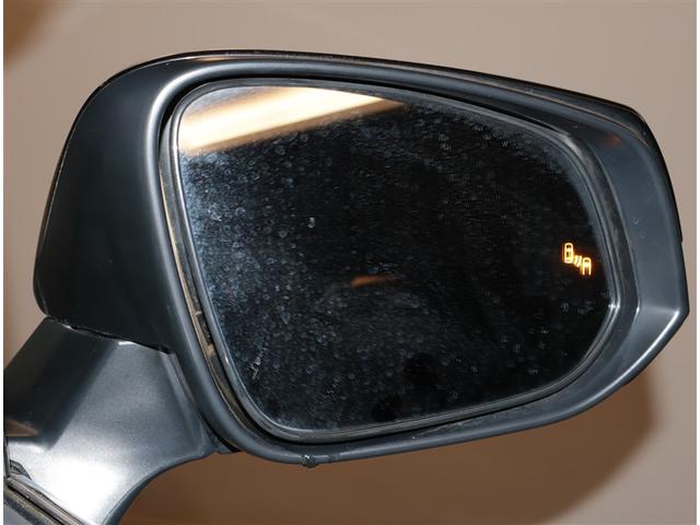 アルファード 2.5S Cパッケージ 両電動ドア Bモニタ 地デジ 定期点検記録簿 DVD再生可能 パノラマルーフ リアオートエアコン ナビテレビ 横滑り防止 クルコン AC100V電源 セキュリティ ETC車載器 LEDヘッドライト(16枚目)