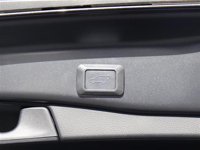 ＲＡＶ４ Ｇ　Ｚパッケージ　パワーリアゲート　インテリジェントクリアランスソナー　Ｂトゥース　ＬＤＡ　オートマチックハイビーム　ＡＷＤ　ＬＥＤライト　ＵＳＢ接続　オートクルーズ　横滑り防止装置　バックガイドモニター　ナビ　ＡＢＳ（12枚目）