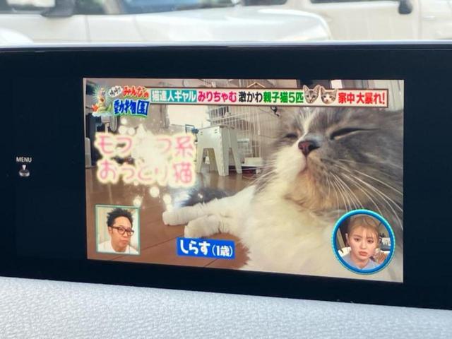 MX-30 ヒョウジュン 新品タイヤ/保証書/純正 8.8インチ メモリーナビ/アイアクティブセンス(マツダ)/シートヒーター 前席/360°ビューモニター/車線逸脱防止支援システム/シート ハーフレザー/電動バックドア(11枚目)