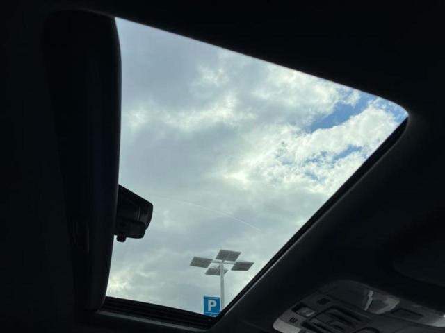 アルファード Sタイプゴールド サンルーフ/ディスプレイオーディオ+ナビ9インチ/フリップダウンモニター 純正 12.1インチ/デジタルインナーミラー/トヨタセーフティセンス/両側電動スライドドア 衝突被害軽減システム バックカメラ(30枚目)