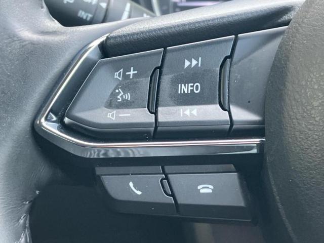 CX-5 XDプロアクティブ 新品タイヤ/BOSE/保証書/純正 SDナビ/衝突安全装置/シートヒーター 前席/車線逸脱防止支援システム/パーキングアシスト バックガイド/ヘッドランプ LED/Bluetooth接続 バックカメラ(33枚目)