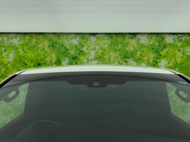 アルファード Sタイプゴールド 保証書/ディスプレイオーディオ+ナビ9インチ/フリップダウンモニター 純正 12.1インチ/デジタルインナーミラー/トヨタセーフティセンス/両側電動スライドドア/車線逸脱防止支援システム バックカメラ(57枚目)