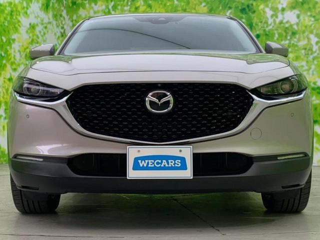 CX-30 XD Lパッケージ 新品タイヤ/BOSE/保証書/純正 8.8インチ メモリーナビ/アイアクティブセンス(マツダ)/シートヒーター 前席/360°ビューモニター/車線逸脱防止支援システム/シート フルレザー 革シート(53枚目)