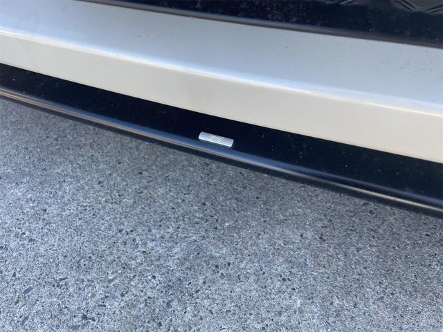 �r�s�h�t�����g�X�|�C���[