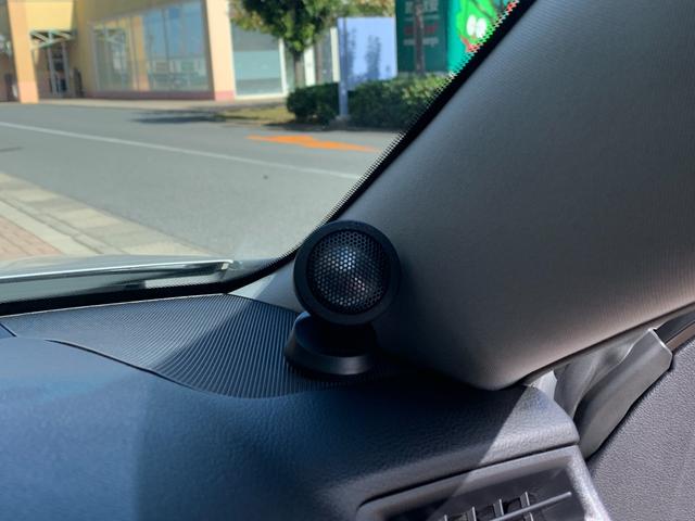 マークＸ ２５０Ｇ　リラックスセレクション・ブラックリミテッド　バックモニター・パワーシート・パイオニアナビ・プラズマクラスター・オートライト・ＥＴＣ（37枚目）