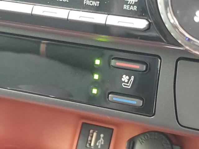 ＲＡＶ４ ４ＷＤアドベンチャー　サンルーフ／保証書／ディスプレイオーディオ＋ナビ１０インチ／デジタルインナーミラー／トヨタセーフティセンス／シートヒーター　前席／車線逸脱防止支援システム／シート　合皮　衝突被害軽減システム　４ＷＤ（31枚目）