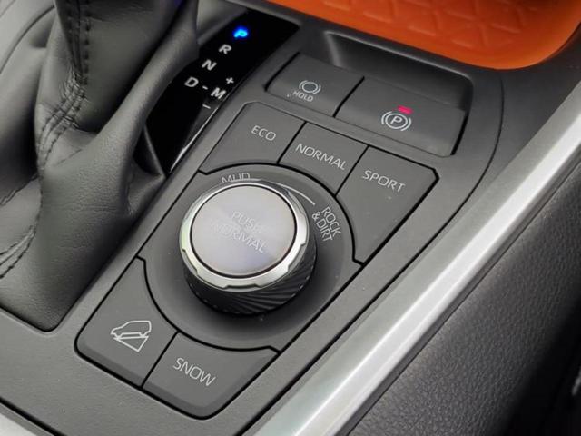 ＲＡＶ４ ４ＷＤアドベンチャー　サンルーフ／保証書／ディスプレイオーディオ＋ナビ１０インチ／デジタルインナーミラー／トヨタセーフティセンス／シートヒーター　前席／車線逸脱防止支援システム／シート　合皮　衝突被害軽減システム　４ＷＤ（46枚目）