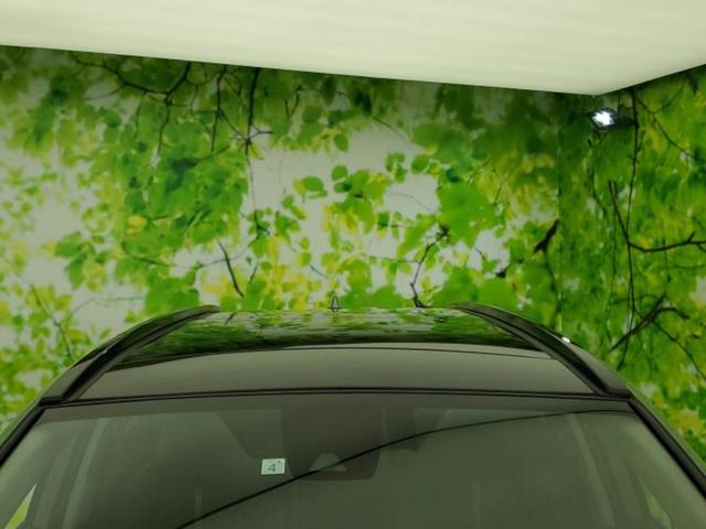 ＲＡＶ４ ４ＷＤアドベンチャー　サンルーフ／保証書／ディスプレイオーディオ＋ナビ１０インチ／デジタルインナーミラー／トヨタセーフティセンス／シートヒーター　前席／車線逸脱防止支援システム／シート　合皮　衝突被害軽減システム　４ＷＤ（56枚目）