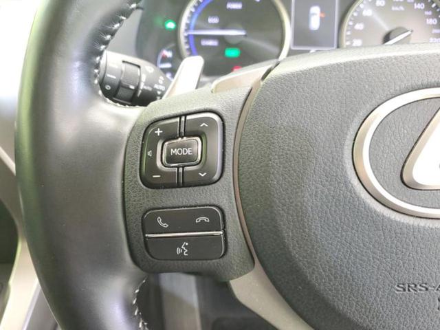 NX NX300h Iパッケージ 新品タイヤ/保証書/純正 SDナビ/プリクラッシュセーフティ/シートヒーター 前席/車線逸脱防止支援システム/シート 合皮/パーキングアシスト バックガイド/電動バックドア 衝突被害軽減システム(38枚目)