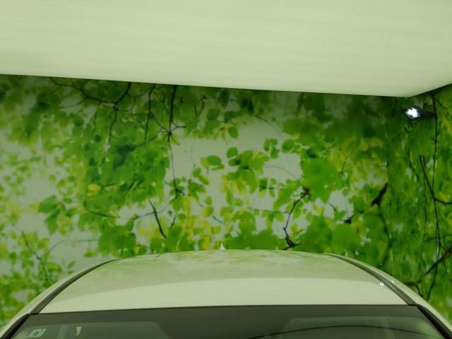 NX NX300h Iパッケージ 新品タイヤ/保証書/純正 SDナビ/プリクラッシュセーフティ/シートヒーター 前席/車線逸脱防止支援システム/シート 合皮/パーキングアシスト バックガイド/電動バックドア 衝突被害軽減システム(52枚目)