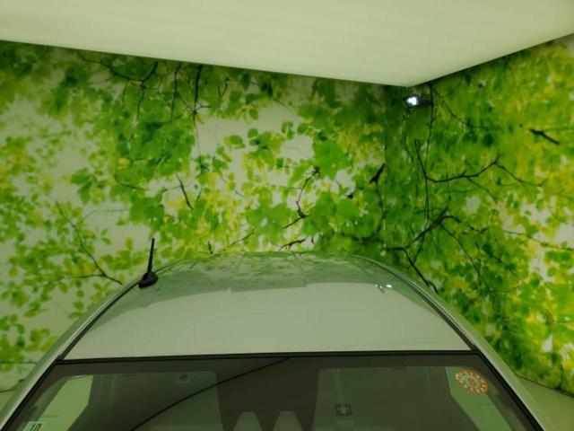 ミライース Ｌ　ＳＡ３　保証書／純正　ＳＤナビ／衝突安全装置／車線逸脱防止支援システム／ドライブレコーダー　純正／ＵＳＢジャック／Ｂｌｕｅｔｏｏｔｈ接続／ＥＴＣ／ＥＢＤ付ＡＢＳ／横滑り防止装置／アイドリングストップ　禁煙車（48枚目）