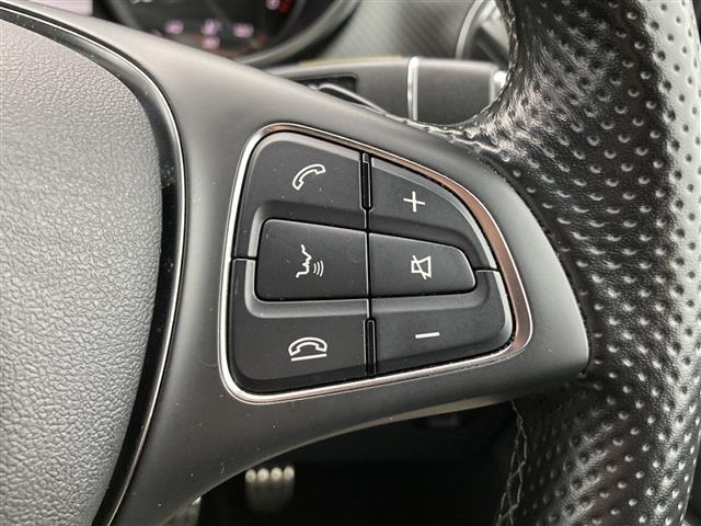 Ｖクラス Ｖ２２０ｄ　スポーツ（22枚目）