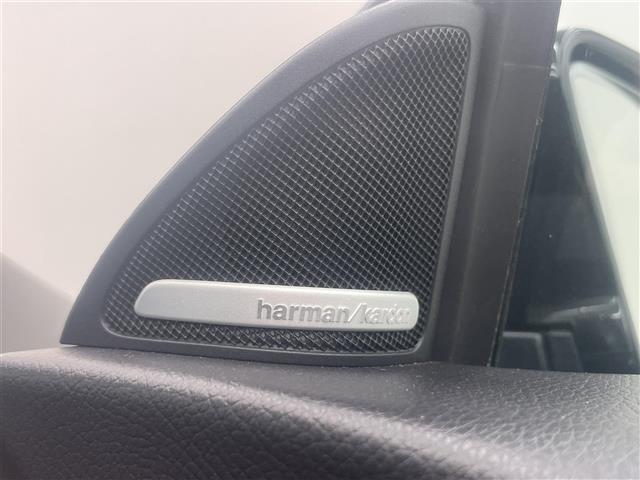 CLAクラス CLA220 4マチック レーダーセーフティPKG プレミアムPKG 純正ナビ バックカメラ ESP オートライト オートワイパー アクティブブレーキアシスト アテンションアシスト ブラインドスポット レーンキープアシスト(24枚目)