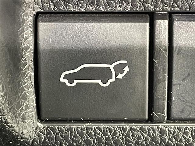 ＲＡＶ４ ハイブリッドＧ　純正ナビ　衝突軽減ブレーキ　レーダークルーズコントロール　ビルトインＥＴＣ２．０　シートヒーター　ＬＥＤヘッドライト　バックカメラ　ドライブレコーダー　フルセグＴＶ　Ｂｌｕｅｔｏｏｔｈ　スマートキー（5枚目）