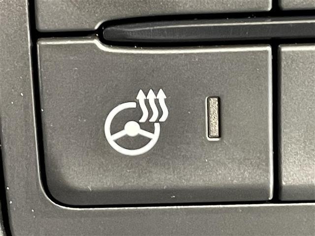 ＣＸ－８ ＸＤプロアクティブ　純正８インチナビ　衝突軽減ブレーキ　レーダークルーズコントロール　ブラインドスポットモニター　パワーバックドア　ハンドルヒーター　シートヒーター　ヘッドアップディスプレイ　ドライブレコーダー　ＥＴＣ（8枚目）