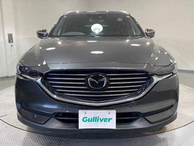 ＣＸ－８ ＸＤプロアクティブ　純正８インチナビ　衝突軽減ブレーキ　レーダークルーズコントロール　ブラインドスポットモニター　パワーバックドア　ハンドルヒーター　シートヒーター　ヘッドアップディスプレイ　ドライブレコーダー　ＥＴＣ（54枚目）