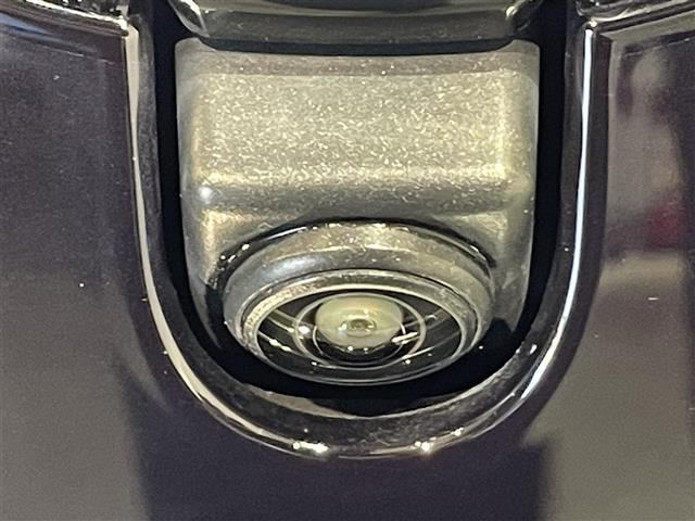 リーフ Ｘ　Ｖセレクション（8枚目）