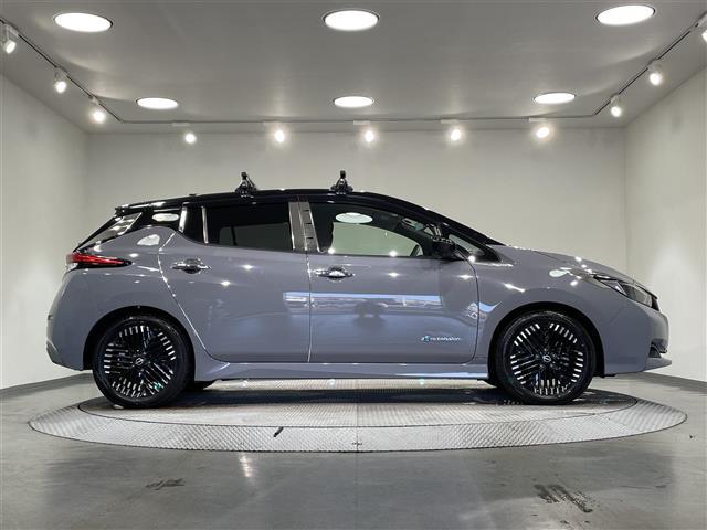 リーフ Ｘ　Ｖセレクション（16枚目）