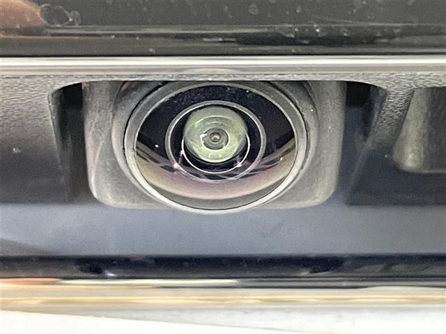 リーフ Ｘ　Ｖセレクション（33枚目）