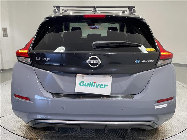 リーフ Ｘ　Ｖセレクション（36枚目）