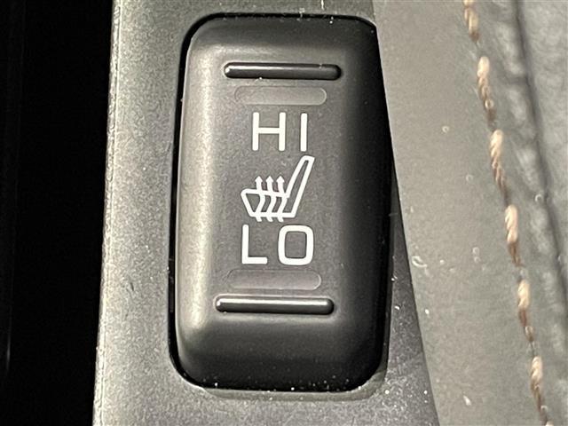 デリカD:5 ジャスパー 衝突軽減ブレーキ 両側電動スライドドア 電動サイドステップ 全方位カメラ レーダークルーズコントロール 100V電源 デジタルインナーミラー ブラインドスポットモニター ステアリングヒーター ETC(30枚目)