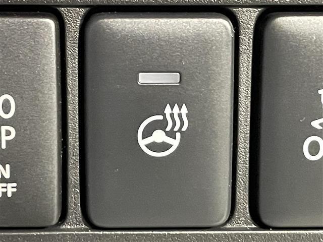 デリカD:5 ジャスパー 衝突軽減ブレーキ 両側電動スライドドア 電動サイドステップ 全方位カメラ レーダークルーズコントロール 100V電源 デジタルインナーミラー ブラインドスポットモニター ステアリングヒーター ETC(31枚目)