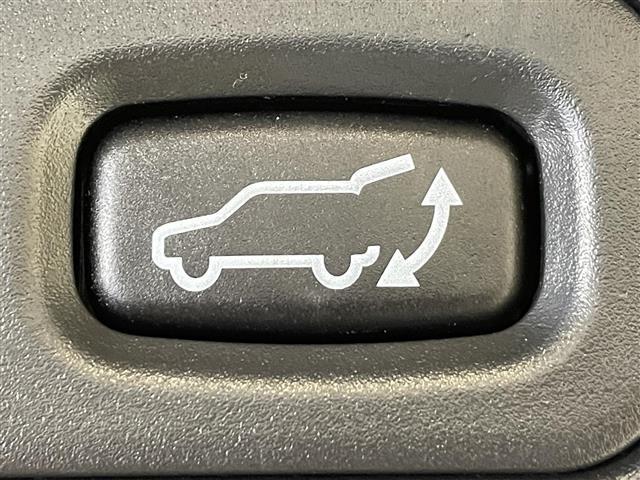 デリカD:5 ジャスパー 衝突軽減ブレーキ 両側電動スライドドア 電動サイドステップ 全方位カメラ レーダークルーズコントロール 100V電源 デジタルインナーミラー ブラインドスポットモニター ステアリングヒーター ETC(33枚目)