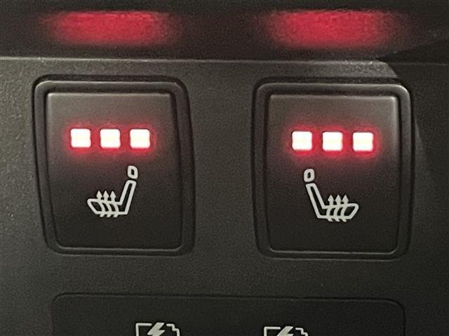 エクストレイル オーテック　ｅ－４ＯＲＣＥ　アドバンスドパッケージ　純正１２．３インチナビ　プロパイロット　衝突軽減ブレーキ　アラウンドビューモニター　１００Ｖ電源　ビルトインＥＴＣ２．０　シートヒーター　ＬＥＤヘッドライト　ドライブレコーダー　デジタルインナーミラー（37枚目）