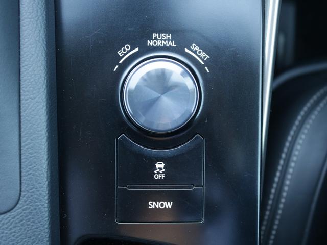 ＩＳ ＩＳ２５０　バージョンＬ　モデリスタエアロ／マフラー／１８インチアルミ・電動黒革シート・サンルーフ・Ｂｌｕｅｔｏｏｔｈ接続・バックカメラ・シートヒーター＆エアシート・ハンドルヒーター・ドラレコ・追従クルコン・スマートキー（58枚目）