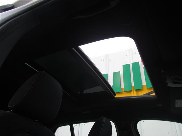 X2 xDrive 20i MスポーツX(14枚目)