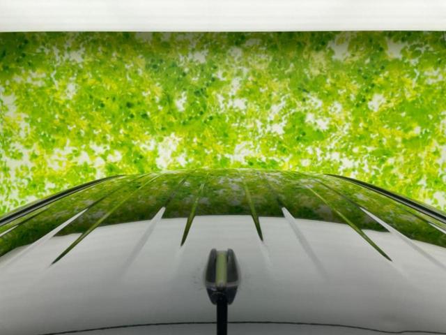 シエンタ ハイブリッドGクエロ 新品タイヤ/モデリスタエアロ/純正 9インチ メモリーナビ/フリップダウンモニター 純正 10.1インチ/トヨタセーフティセンス/両側電動スライドドア/車線逸脱防止支援システム 衝突被害軽減システム(44枚目)