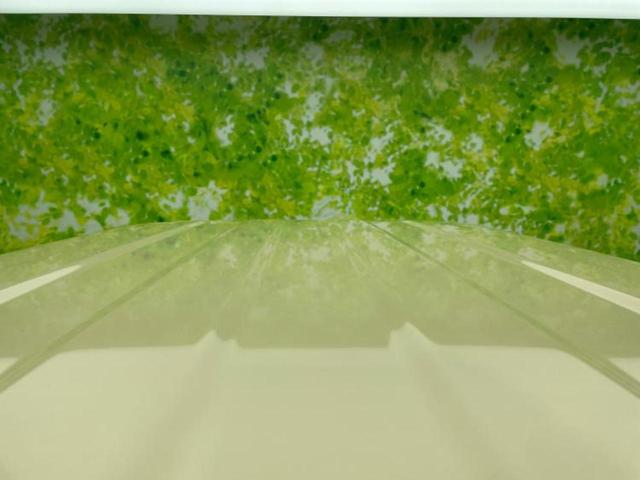 ジムニーシエラ ４ＷＤ　ＪＣ　保証書／純正　８インチ　ＳＤナビ／セーフティサポート（スズキ）／シートヒーター　前席／車線逸脱防止支援システム／ドライブレコーダー　前後／ヘッドランプ　ＬＥＤ／Ｂｌｕｅｔｏｏｔｈ接続／ＥＴＣ　４ＷＤ（41枚目）