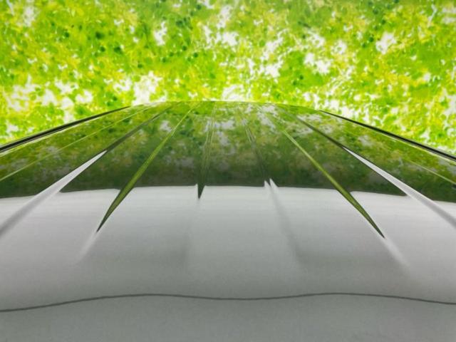 ハスラー ハイブリッドG 保証書/デュアルカメラブレーキサポート(スズキ)/シートヒーター 前席/車線逸脱防止支援システム/ヘッドランプ LED/ABS/横滑り防止装置/アイドリングストップ/クルーズコントロール 禁煙車(40枚目)