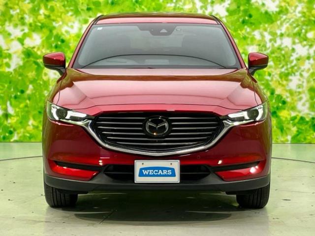 ＣＸ－８ ＸＤプロアクティブ　保証書／純正　ＳＤナビ／アイアクティブセンス（マツダ）／シートヒーター　前席／３６０°ビューモニター／車線逸脱防止支援システム／ドライブレコーダー　前後／ヘッドランプ　ＬＥＤ／ＵＳＢジャック　禁煙車（33枚目）