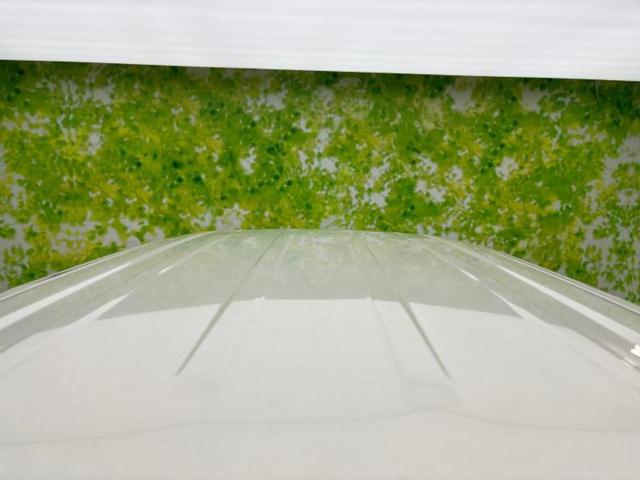 セレナ eパワーハイウェイスターV 純正 10インチ メモリーナビ/フリップダウンモニター 純正 11インチ/インテリジェントルームミラー/エマージェンシーブレーキ/両側電動スライドドア/アラウンドビューモニター/プロパイロット ETC(51枚目)