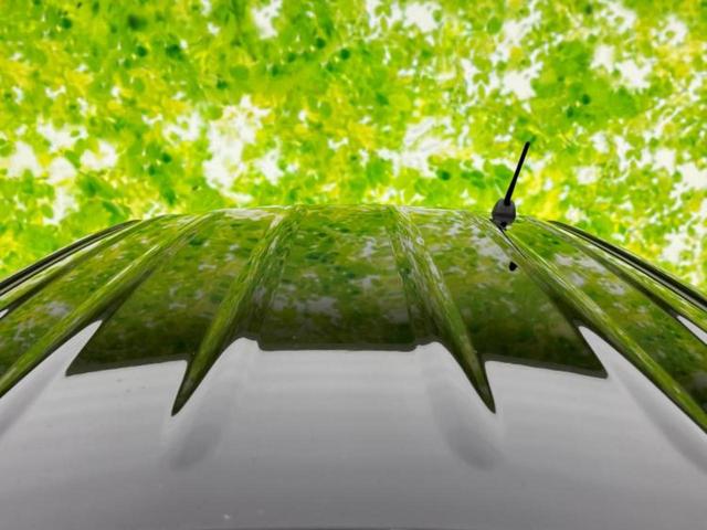 キャロル ＧＬ　アイアクティブセンス（マツダ）／シートヒーター　運転席／車線逸脱防止支援システム／ＡＢＳ／アイドリングストップ／禁煙車／取扱説明書／パワードアロック／デュアルエアバッグ／アクセサリーソケット（45枚目）