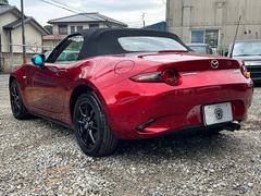 �����ɥ����� �ӥ��ڥ����ѥå��������桼���������֡��᡼�����ʥӥ�������󡡥Хå�����顡�ե륻���ƥ�� 0509727A30251225W002 3