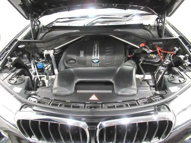 xDrive 35d Mスポーツ サンルーフ ACC ブラックレザー(17枚目)