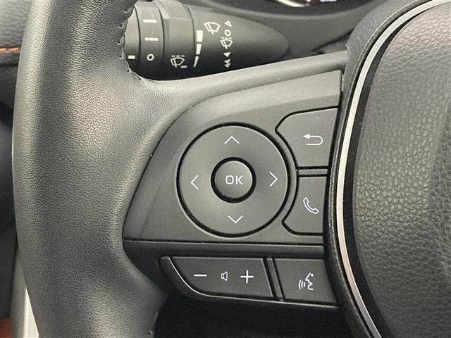 RAV4 アドベンチャー 4WD TSS プッシュスタート ブラインドスポットモニター レーダークルコン フルセグ バックモニター ETC シートメモリ シートベンチレーション ステアリングヒーター LEDヘッドライト(15枚目)